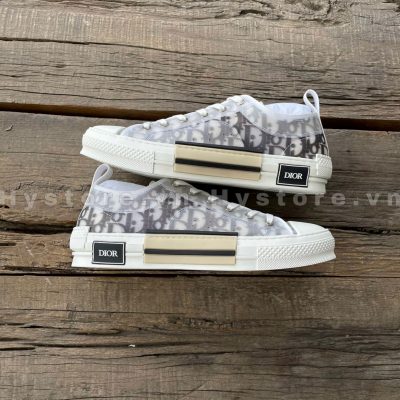 Giày Dior B23 Low Top Canvas